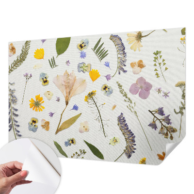 Stick-on wall mural Spring flowers