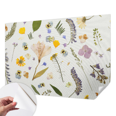 Stick-on wall mural Spring flowers
