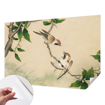 3D wall mural classic duo design