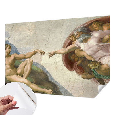 Peel and stick wall mural for living room Spiritual contact