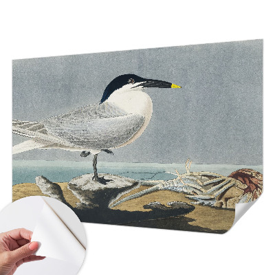 Stick-on wall mural with an ornithological design featuring elegant bird illustrations