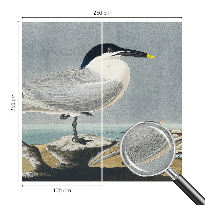 Stick-on wall mural with an ornithological design featuring elegant bird illustrations