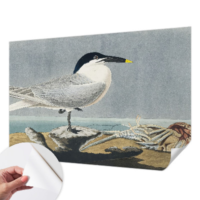 Stick-on wall mural with an ornithological design featuring elegant bird illustrations