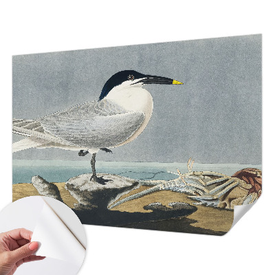 Stick-on wall mural with an ornithological design featuring elegant bird illustrations