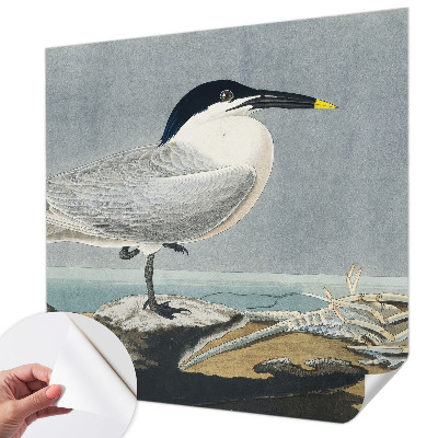 Stick-on wall mural with an ornithological design featuring elegant bird illustrations