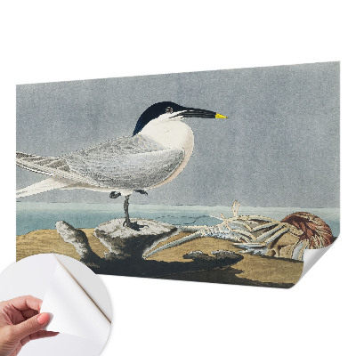 Stick-on wall mural with an ornithological design featuring elegant bird illustrations