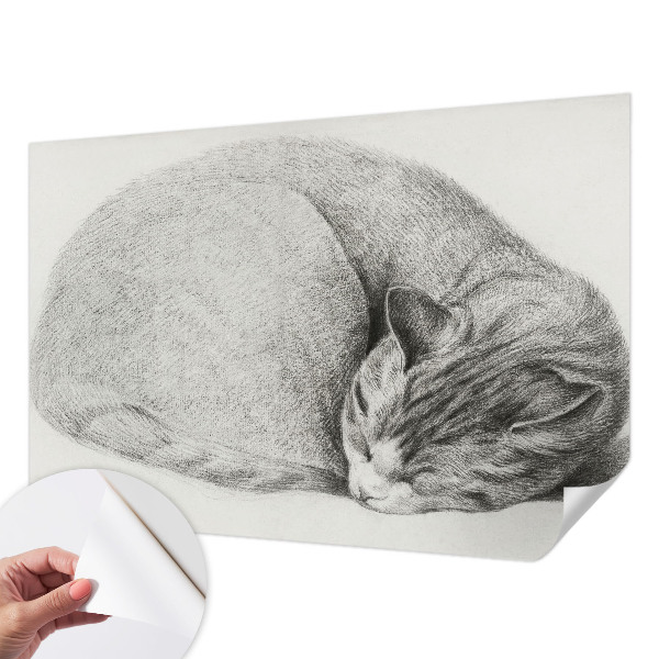 Peel and stick wall mural with a curled up cat illustration