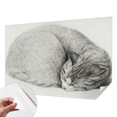 Peel and stick wall mural with a curled up cat illustration