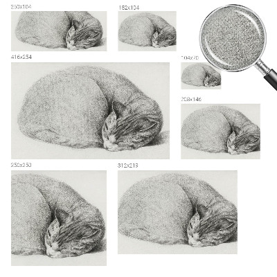 Peel and stick wall mural with a curled up cat illustration