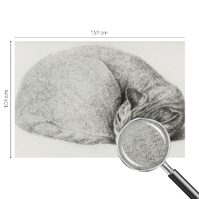 Peel and stick wall mural Curled up cat