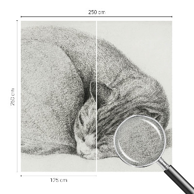 Peel and stick wall mural Curled up cat