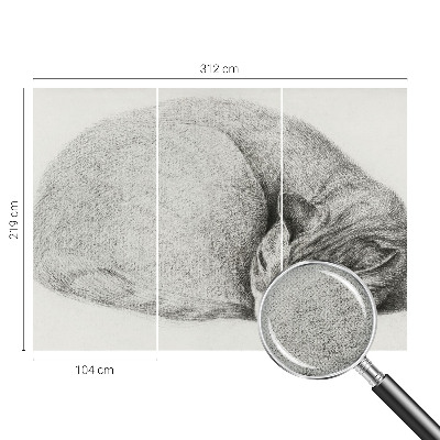 Peel and stick wall mural Curled up cat