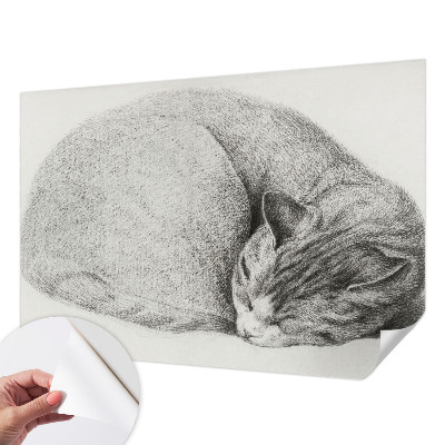 Peel and stick wall mural with a curled up cat illustration