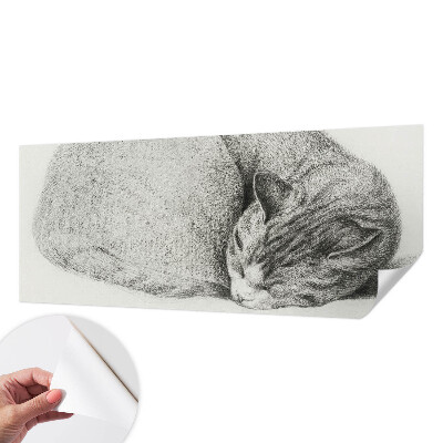 Peel and stick wall mural Curled up cat