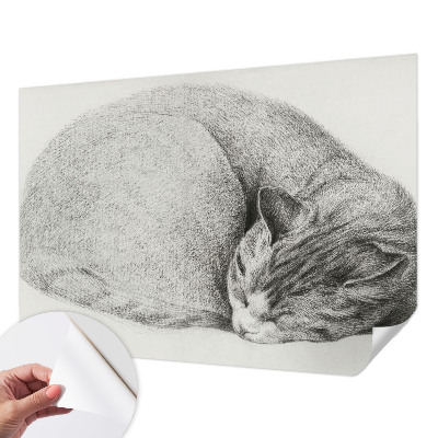 Peel and stick wall mural with a curled up cat illustration