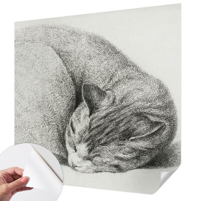 Peel and stick wall mural with a curled up cat illustration