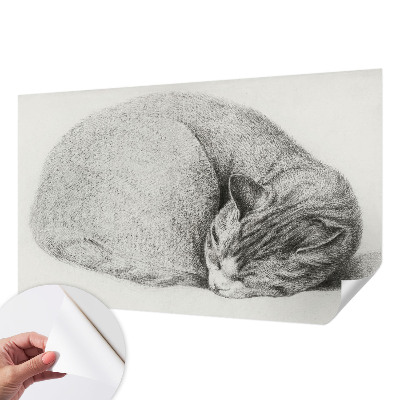 Peel and stick wall mural Curled up cat