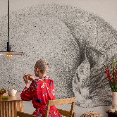 Peel and stick wall mural Curled up cat