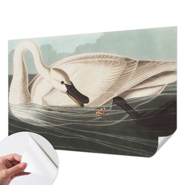 Removable wall mural featuring the Harmony of Nature design