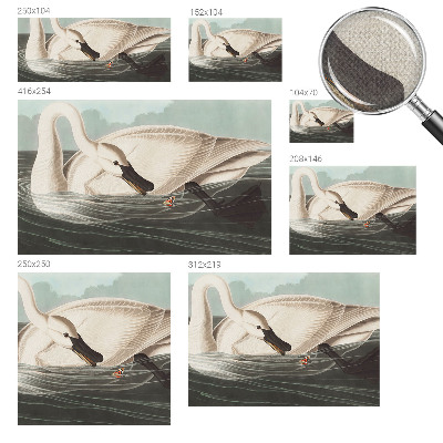 Removable wall mural Harmony of nature