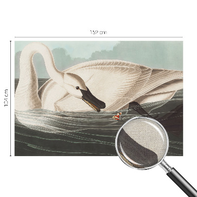 Removable wall mural Harmony of nature