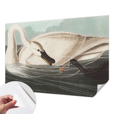 Removable wall mural Harmony of nature