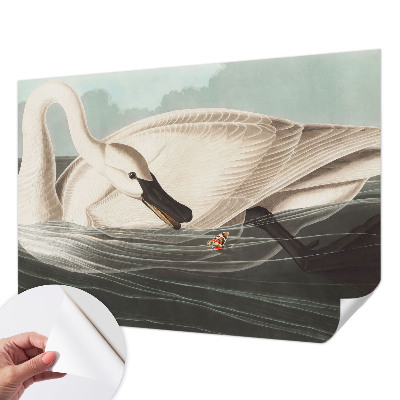Removable wall mural Harmony of nature