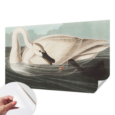Removable wall mural Harmony of nature