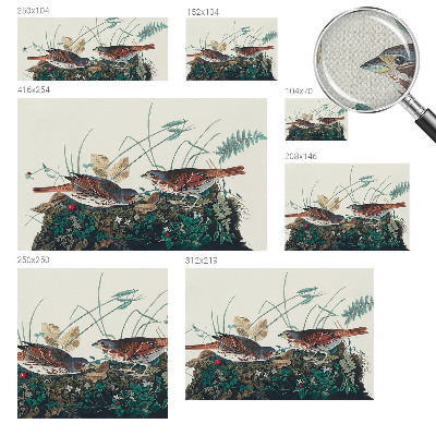 Removable wall mural wallpaper with a nature-inspired design