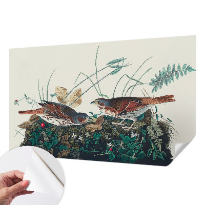 Removable wall mural wallpaper with a nature-inspired design