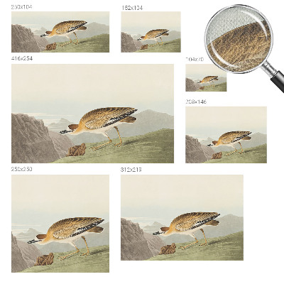 Peel and stick wall mural for living room featuring a mountain bird design