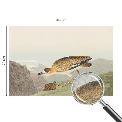 Peel and stick wall mural for living room featuring a mountain bird design