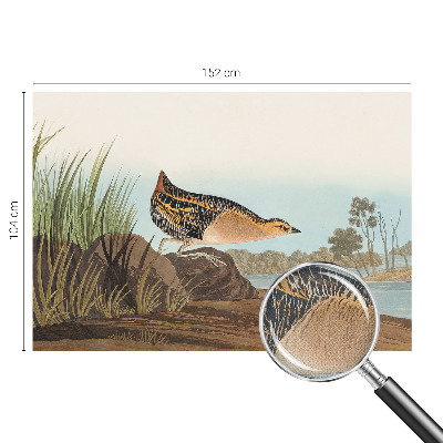 Peel-and-stick wall mural featuring a natural scene for a bedroom