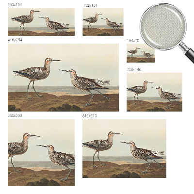 Removable wall mural Bird silhouettes