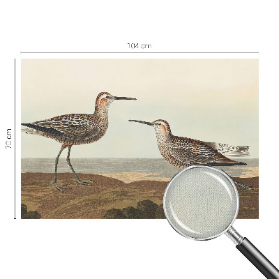 Removable wall mural Bird silhouettes