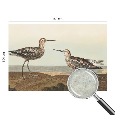 Removable wall mural Bird silhouettes