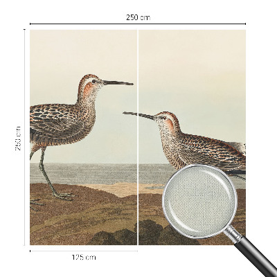 Removable wall mural featuring bird silhouettes
