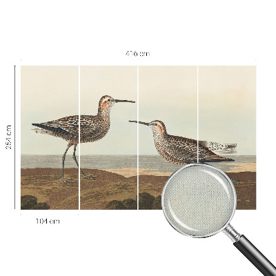 Removable wall mural featuring bird silhouettes