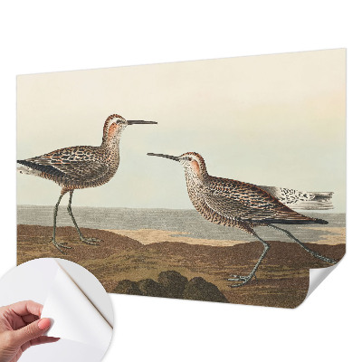 Removable wall mural featuring bird silhouettes