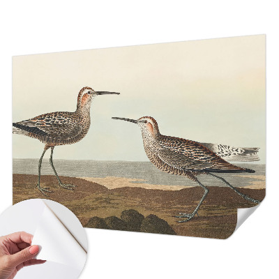 Removable wall mural Bird silhouettes