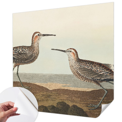 Removable wall mural Bird silhouettes