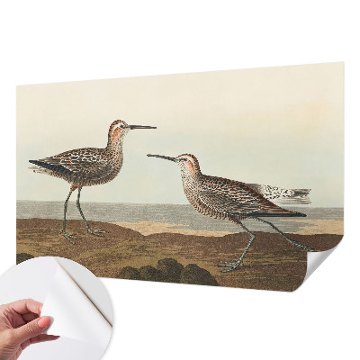Removable wall mural featuring bird silhouettes