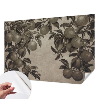 Self-adhesive photo wallpaper with a fruit pattern