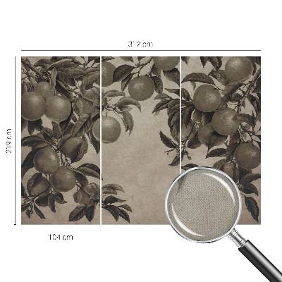 Self-adhesive photo wallpaper with a fruit pattern