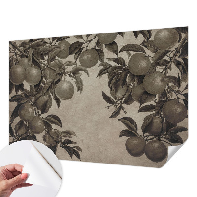 Self-adhesive photo wallpaper with a fruit pattern