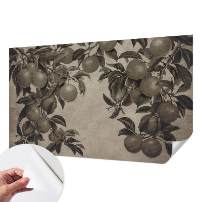 Self-adhesive photo wallpaper with a fruit pattern