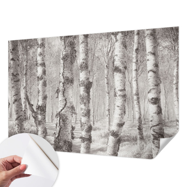3D Wall Mural with a birch forest motif