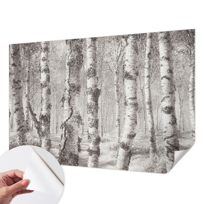 3D Wall Mural with a birch forest motif