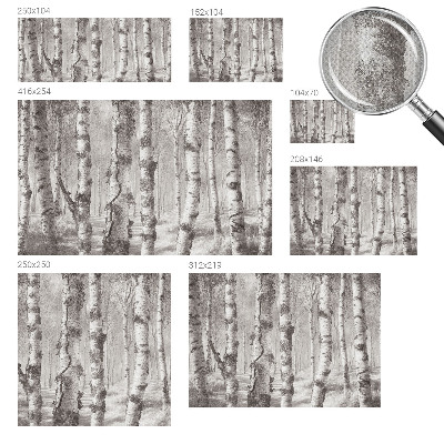 3D Wall Mural with a birch forest motif
