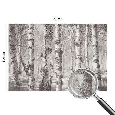 3D wall mural Birch forest